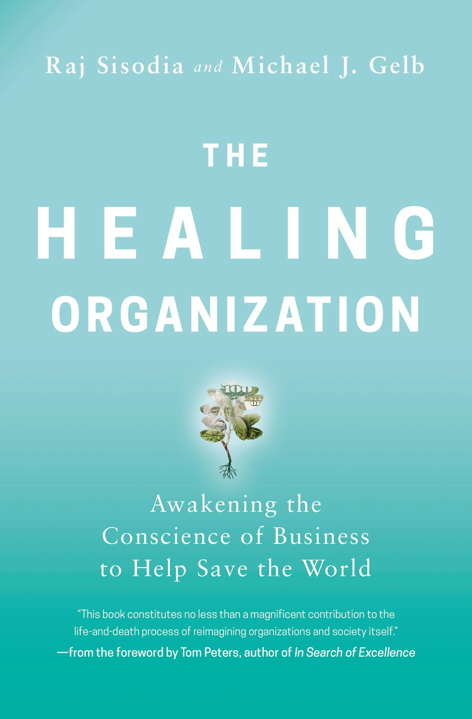 The Healing Organization